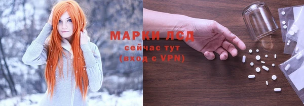 хмурый Зеленокумск