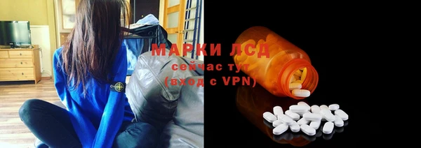 хмурый Зеленокумск
