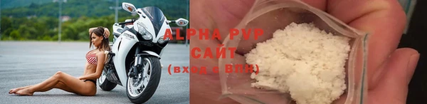 хмурый Зеленокумск