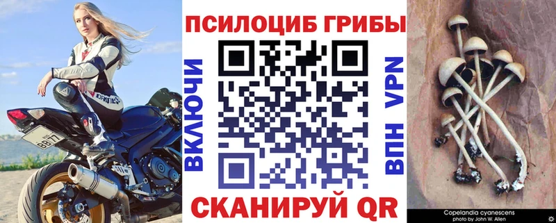 Галлюциногенные грибы GOLDEN TEACHER  дарнет шоп  Карабаш 